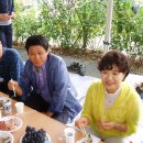 일산초교 이미지