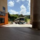 선장대형카 | 괌 돌핀투어 돌핀크루즈 돌고래 투어 파란크루즈 내돈내산 준비물 스노클링 추천