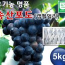 송산호농장 Daum카페