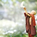 일상의 불교 16 | 문명전환과 불교 이미지