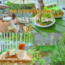 주식회사 삼막커피2 | 여름 안양데이트 명소 찾는다면? 계곡 흐르는 브런치 카페 삼막커피