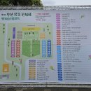 [부산 소식] 부산 봄꽃 전시회 방문 후기, 꽃을 품은 부산 행복이어라!