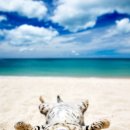 21세기 동물병원 이미지