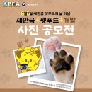 케이펫푸드 이미지