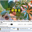 아이플라워메이트 이미지