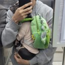 같이할개 반려견유치원 대전점 이미지