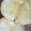 서울특별시청치과의원 이미지