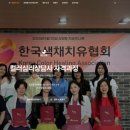 컬러테라피 홈페이지 직접 만들기AI로 2주 만에 완성한 실제 후기