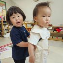 푸실리&amp; 자유놀이 이미지