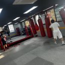 캡틴복싱클럽 이미지