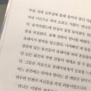 여기까지