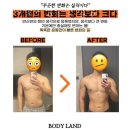 바디랜드