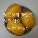 산지 직송 꿀당도 정군상점 성주 참외 고르는 팁