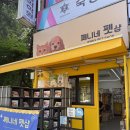 세븐일레븐일산탄현마을점 | &lt;쩨니네펫샵&gt; 일산애견인들 모여랏 ㅋㅋㅋㅋ탄현애완용품샵 오픈했어요 🎉