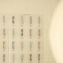 비스토리 안경 이미지