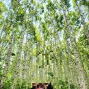 내린천 다락방 이미지