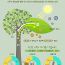 큰나무커다란숲