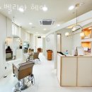 노벨리아 헤어 이미지