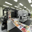 주식회사글로벌펫 | 🐾 2025 반려동물 사료 포장 트렌드: 지속 가능성과 프리미엄 경험의 교차점