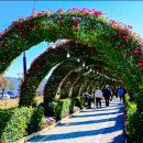 황산공원(황산B) 이미지