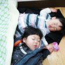 꿈꾸는천사들