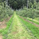 미완성농장 이미지