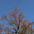 하나로농장 이미지