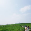 휘성농장 이미지