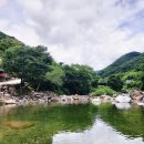 지리산친구들 | 산청 예치마을 해오름 펜션 계곡 지리산 출렁다리 친구들과 놀다온 후기