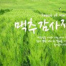 2023.7.2.주일낮예배(골 3:15~17, 맥추감사절(2) 첫 열매 감사의 결과) 이미지