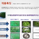 다이손 이미지
