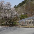 마곡사 주차장1 이미지