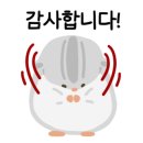 카페보그너 네이버블로그