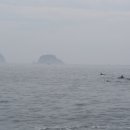 제주 아모제 이미지