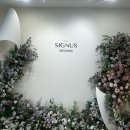 위더스 짐 | [W2-1] 광주 웨딩홀 투어 · 방문상담 후기 / 27년 하반기 시그너스, 위더스 방문 후기 (견적 공유O)