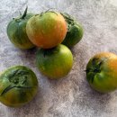 대저토마토산지유통센터 이미지