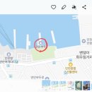 연안낚시터 | 인천 연안부두 생초보 체험낚시 리뷰