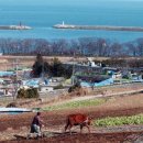 보물섬-남해도 이미지