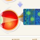 안경명가 콘텍트 이미지