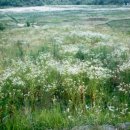 (주)만당 이미지