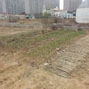 가좌농장 이미지