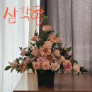 [그래머시플라워 고교 위탁] :2023년 3회차 화훼장식기능사 불합격 후기