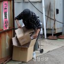 개공감 이미지