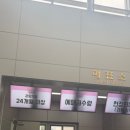 프린세스헤어 - 강릉시 | 하남문화예술회관 프린세스 캐치티니핑 뮤지컬 후기｜주차 할인 정보, 기대 이상이었던 공연