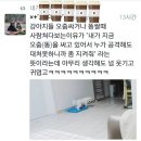 강아지가 볼일 볼때 주인을 쳐다보는 이유 이미지