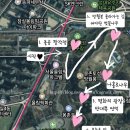 강동홈플러스화원 | 🌸올림픽 공원 벚꽃 스냅 후기🌸