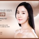 정성훈성형외과 네이버블로그