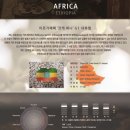 코케 이미지