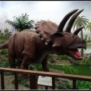 덕소자연사박물관 이미지