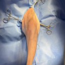 고덕24시 동물병원 이미지